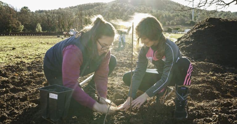 un enfant plantant un arbre aux côtés d’un agriculteur, projet de sensibilisation écologique